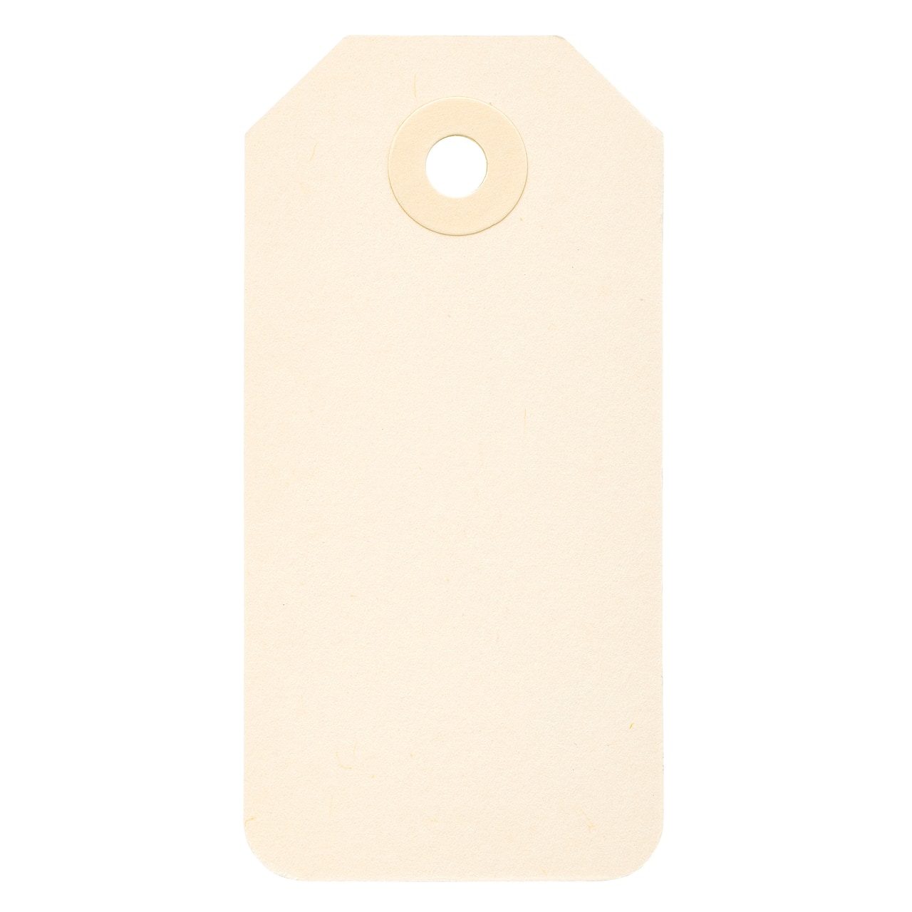 Small Gift Tags by Recollections™